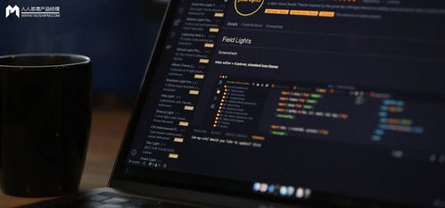 PM勇闖技術(shù) SDK開發(fā)與預(yù)制菜式計(jì)算機(jī)軟件開發(fā)