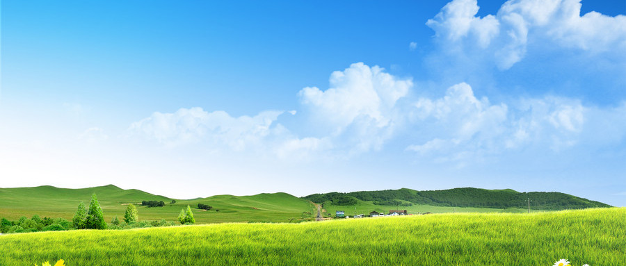 仙居學辦公軟件與計算機軟件開發(fā) 費用、路徑與前景解析